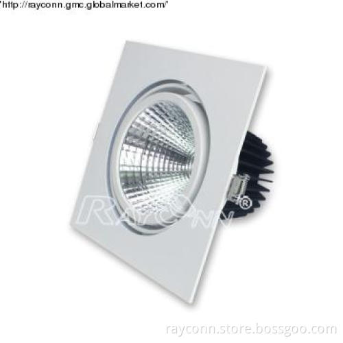 30W LED cob downlight New, Bridgelux COB LED (WD)